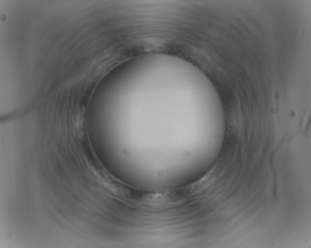 X0000076220082200610122100