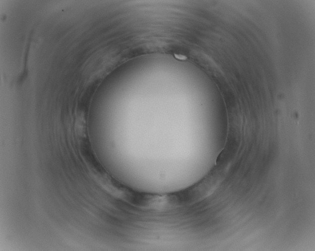 X0000076220083200610122100