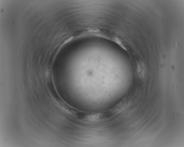 X0000076220084200610122100