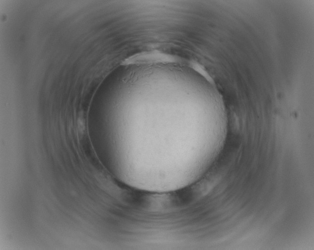 X0000076220085200610122100