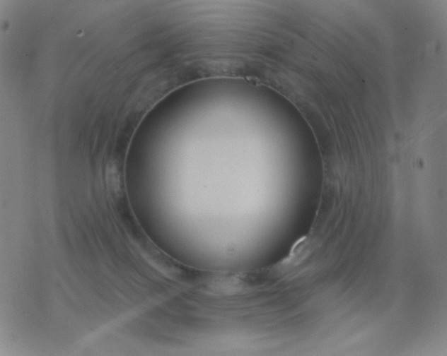 X0000076220086200610122100