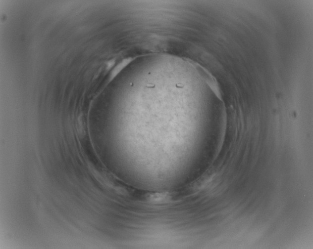 X0000076220088200610122100