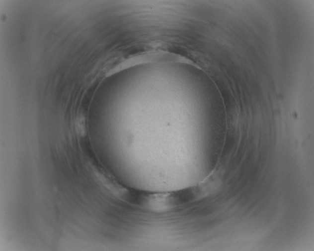 X0000076220090200610122101