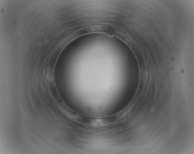 X0000076220091200610122101