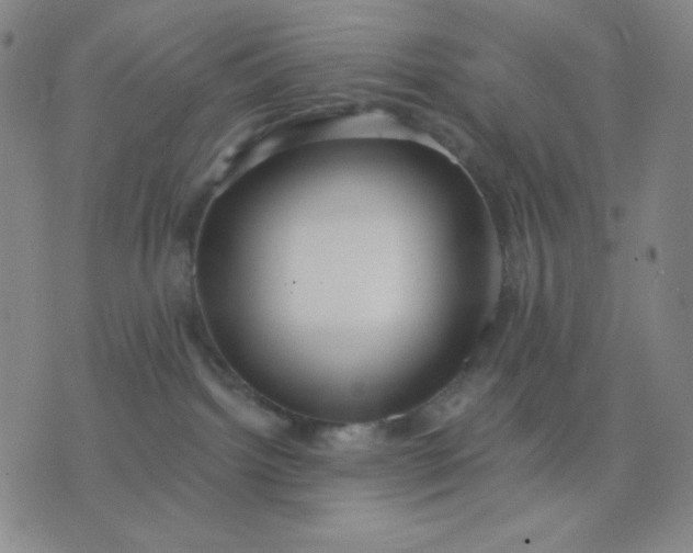 X0000076220092200610122101