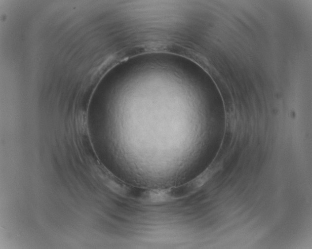 X0000076220093200610122101