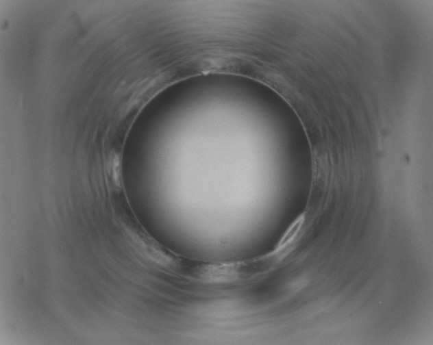 X0000076220094200610122101