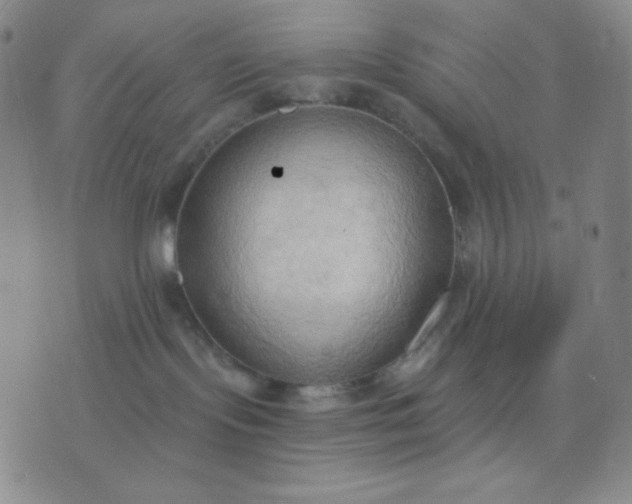 X0000076220095200610122101