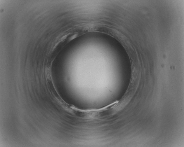 X0000076220096200610122101