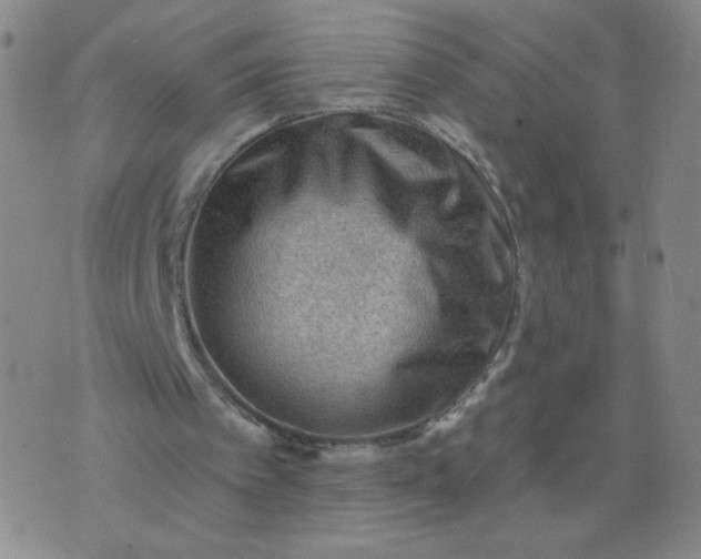 X0000076220097200610122100