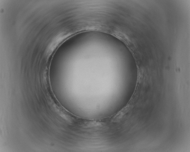 X0000076220098200610122100