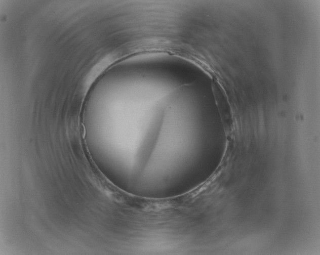 X0000076220099200610122100