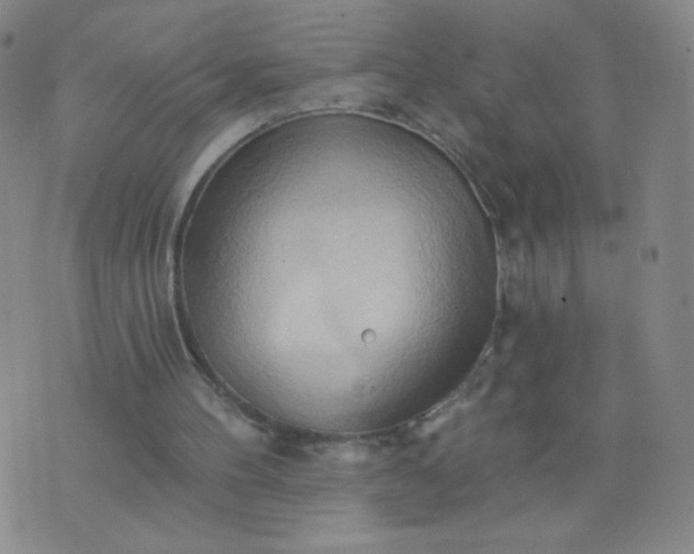 X0000076220100200610122100