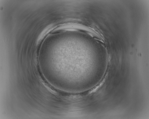 X0000076220101200610122100