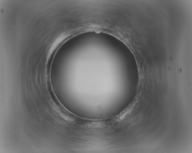 X0000076220102200610122100