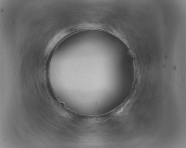 X0000076220103200610122100