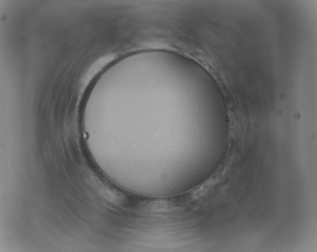 X0000076220104200610122100