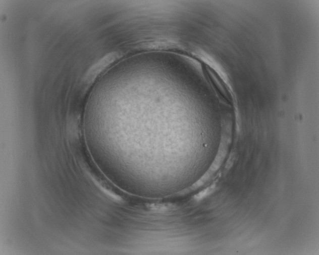 X0000076220105200610122100