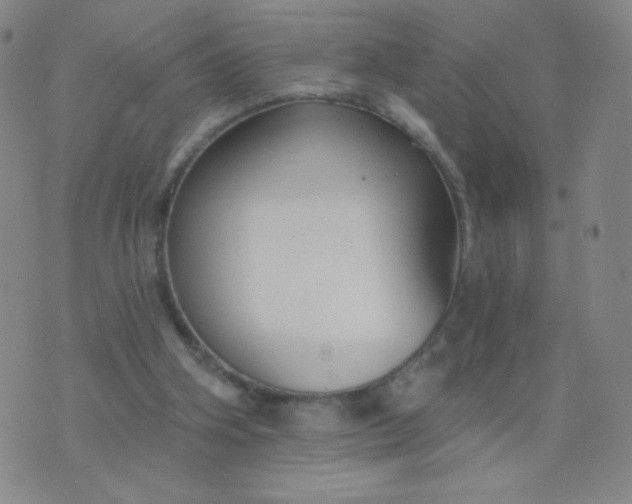 X0000076220106200610122100