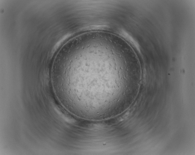 X0000076220107200610122100