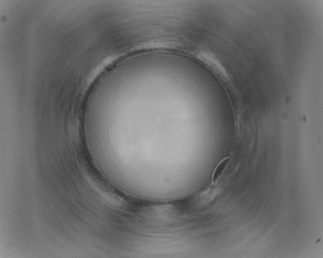 X0000076220108200610122100