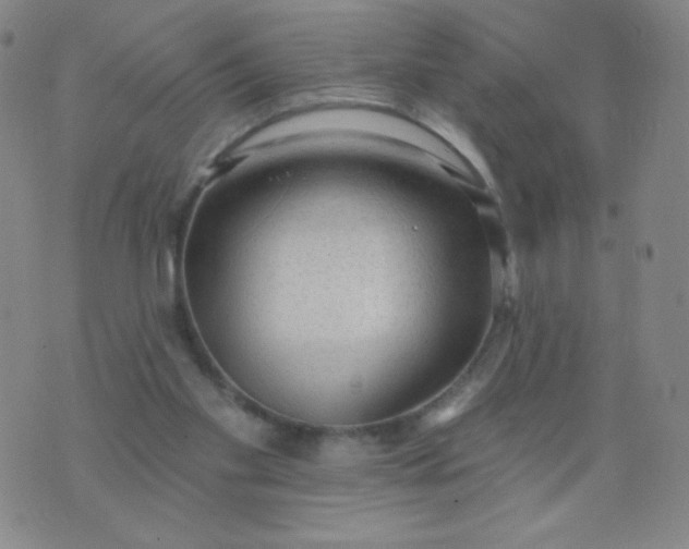 X0000076220109200610122100