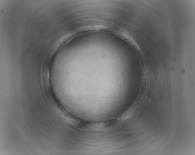 X0000076220110200610122100