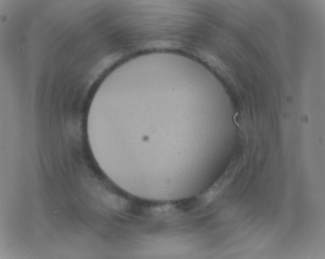 X0000076220112200610122100