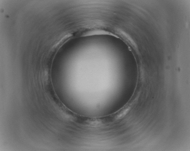 X0000076220113200610122100