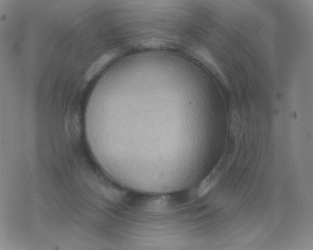 X0000076220116200610122100