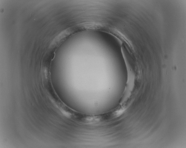 X0000076220117200610122100