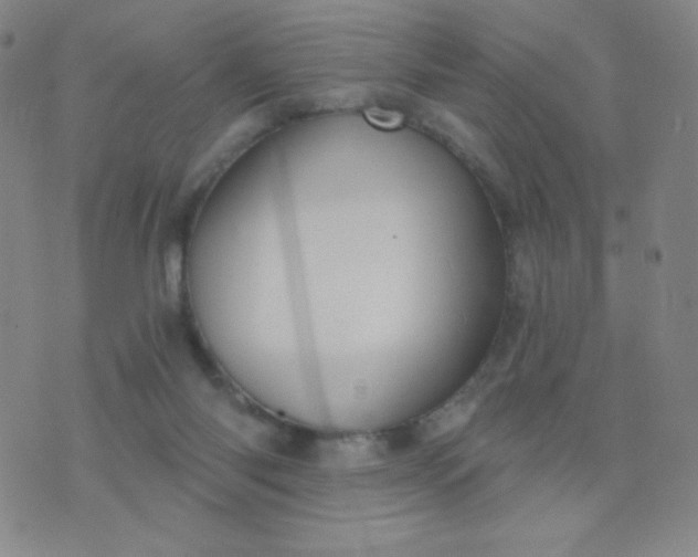 X0000076220118200610122059