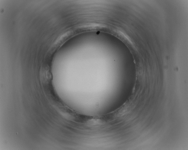 X0000076220119200610122059