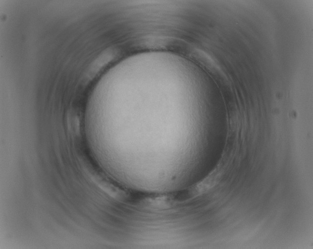 X0000076220120200610122059