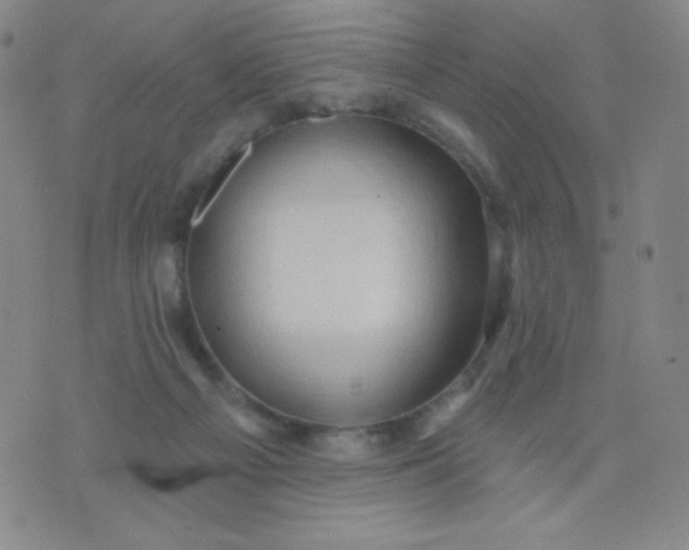 X0000076220121200610122059