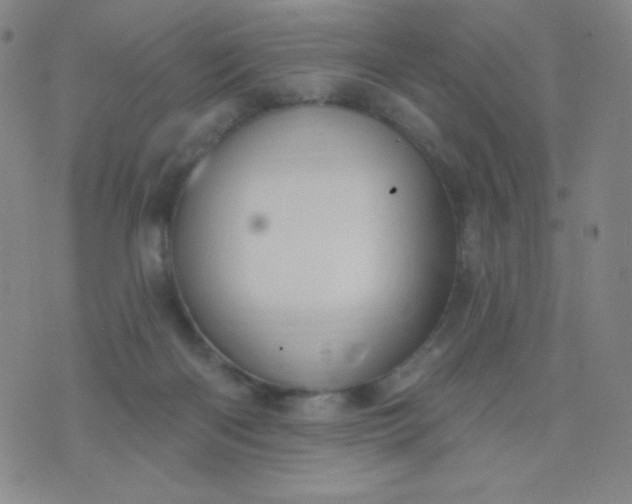 X0000076220122200610122059