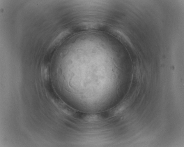 X0000076220123200610122059