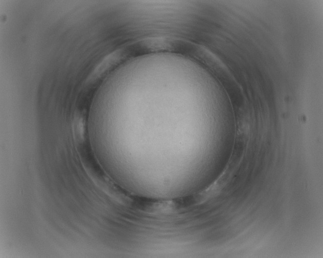 X0000076220124200610122059