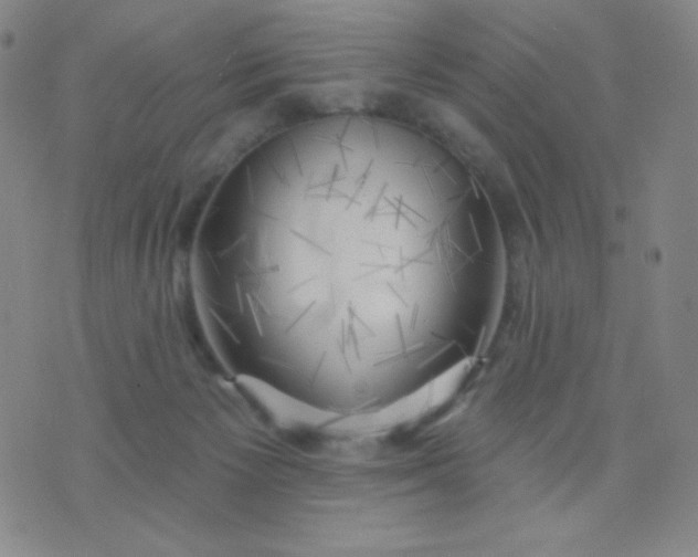 X0000076220125200610122059