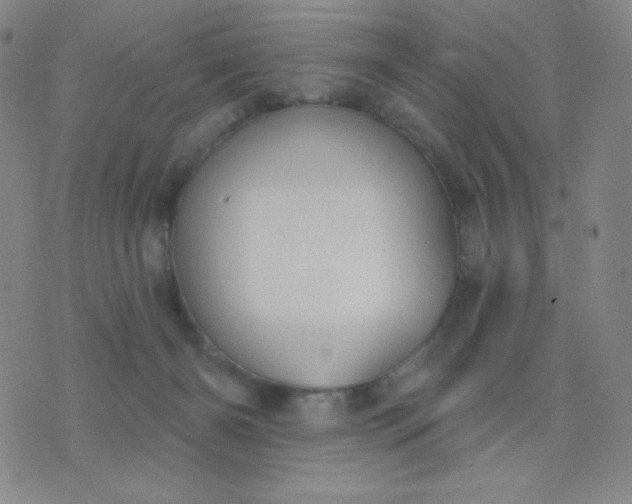 X0000076220126200610122059