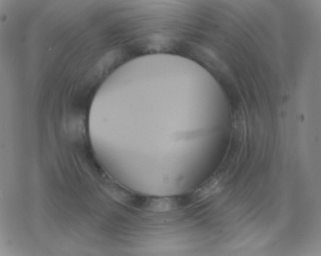 X0000076220127200610122059