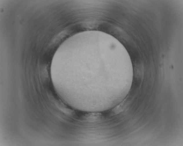 X0000076220128200610122059