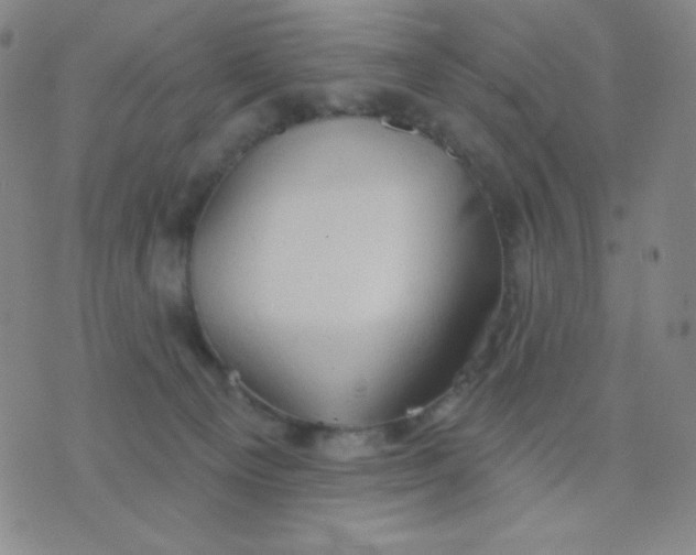 X0000076220129200610122059