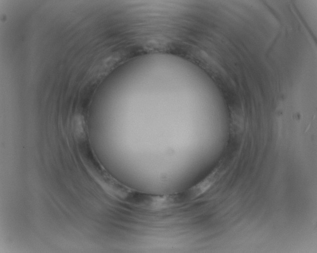 X0000076220130200610122059