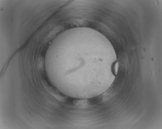 X0000076220132200610122059