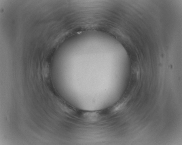 X0000076220133200610122059