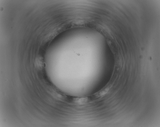 X0000076220135200610122059