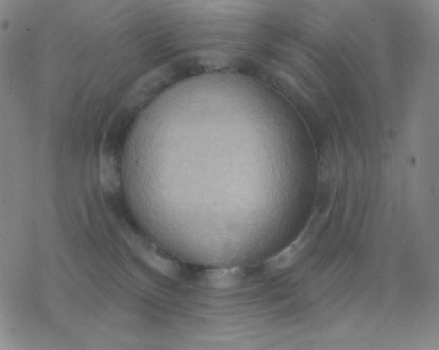 X0000076220136200610122059