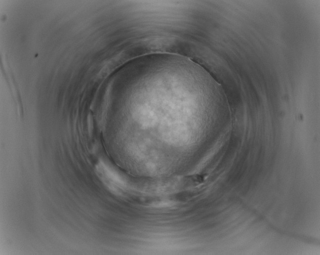 X0000076220137200610122059