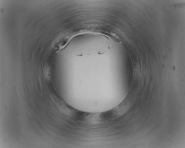 X0000076220138200610122059